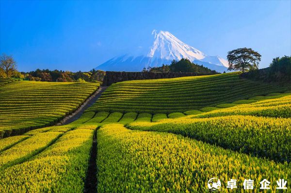 如何寫日本注冊(cè)公司的經(jīng)營(yíng)范圍？