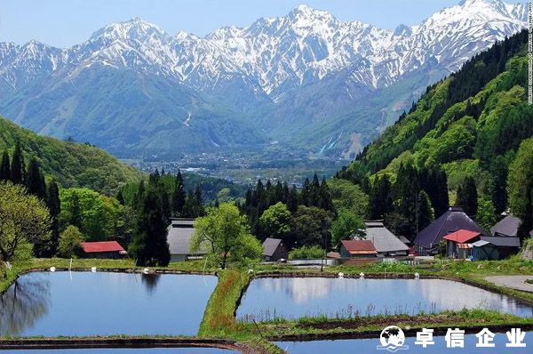 日本消費稅（JCT）確立實行，不合規(guī)賣家將會面臨罰款