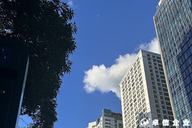 澳大利亞公司注冊后必須立即開展業務嗎